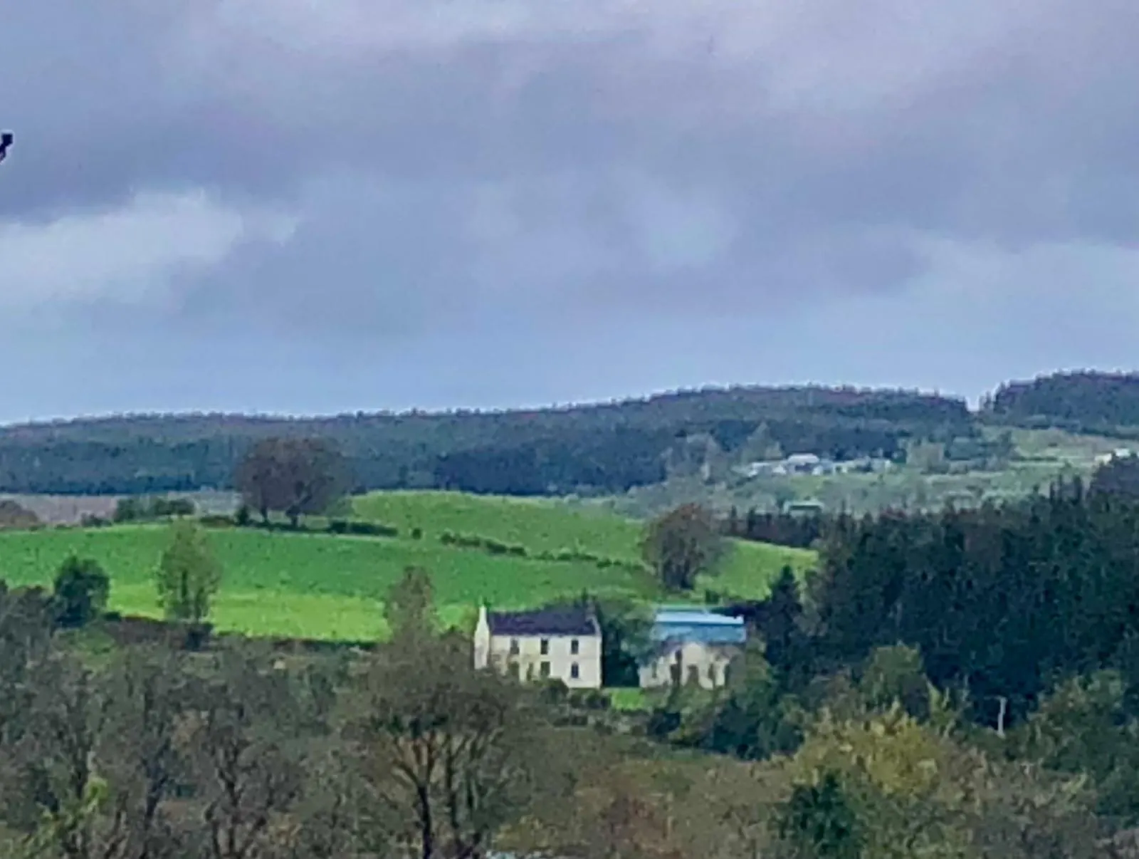A green hillside with a farmhouse and forestry behind it under a cloudy sky