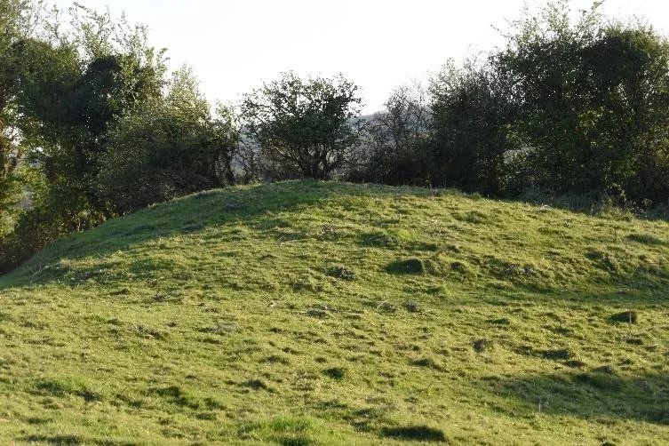 A grassy mound on a hilltop, edged by trees, with hills visible in the distance