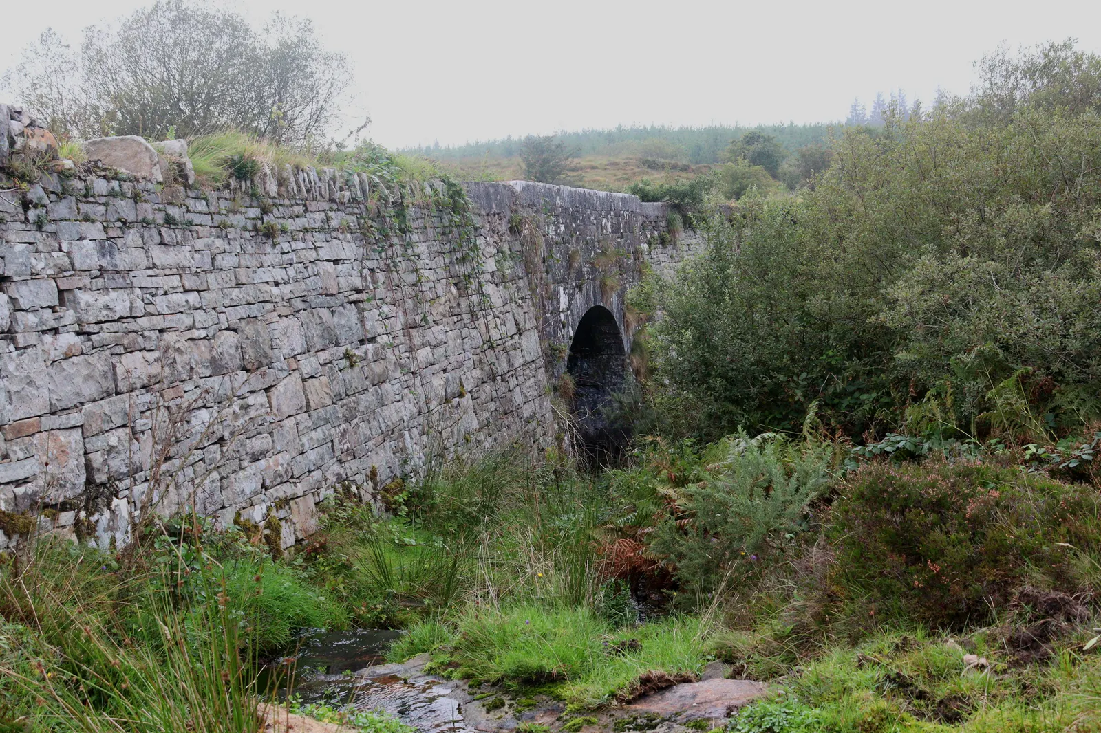 A dry-stone bridge with a single arch over a small stream, surrounded by bushes and long grass