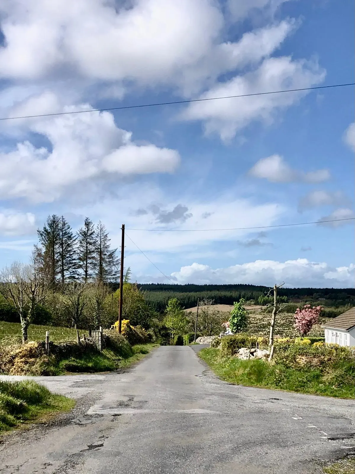 A crossroads on a narrow country road, with trees and forestry in the distance and a blue sky