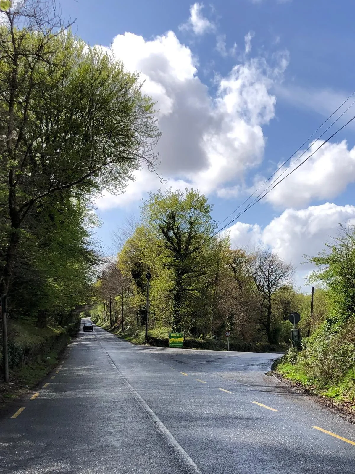 A rural road bending past a corner of woodland, with a school sign and a junction ahead