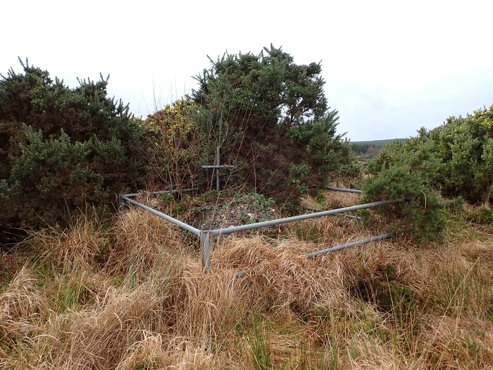 A low stone mound inside a metal railing with a small cross, surrounded by gorse and long grass